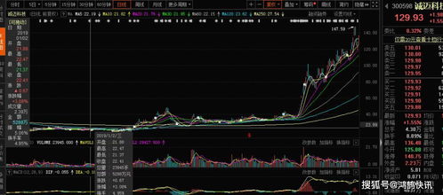 2019年，你可能錯過的十大牛股 軟件外包服務領域異軍突起